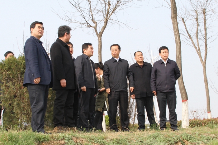 2017-3-20市委書記陸治原檢查西海項(xiàng)目 008.jpg